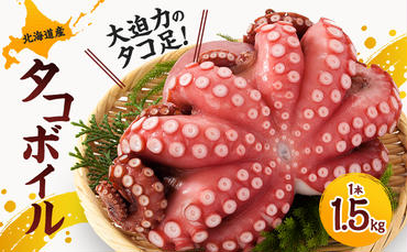 北海道産 冷凍 タコボイル 1本 約1.5kg タコ足 国産 旨味凝縮 たこ 蛸