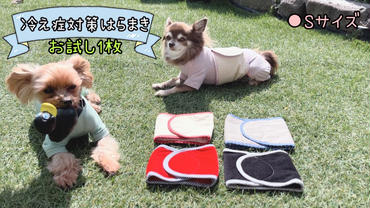 FB158_超小型犬・シニア犬の冷え性対策腹まき☆Sサイズ【お試し1枚】