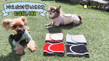 FB159_超小型犬・シニア犬の冷え性対策腹まき☆Mサイズ【お試し1枚】