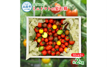 カラフルミニトマトの宝石箱 （約2kg） トマト ミニトマト とまと カラフルミニトマト 詰め合わせ 15品種以上 新鮮野菜 カラフル トマト とまと 美味しい サラダ 野菜 高知県産