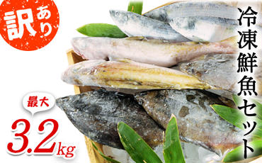 【2024年6月発送】北海道産 冷凍鮮魚セット 最大3.2kg 「漁師応援プロジェクト！」 下処理済み 冷凍 鮮魚 海鮮 海産 地元