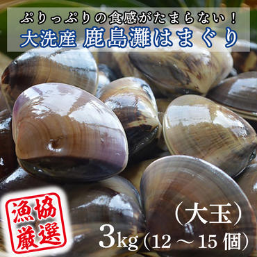 大洗産鹿島灘天然はまぐり 3kg 冷蔵 お吸い物 ハマグリ 蛤 貝 砂抜き処理 魚介類 大洗産 天然 はまぐり