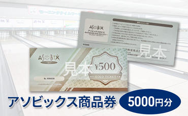 アソビックス商品券5000円分