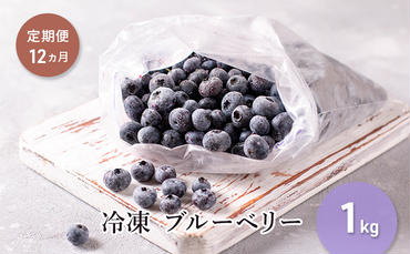 【定期便12カ月】北海道 豊浦町産 冷凍 ブルーベリー 1kg 栽培期間中農薬不使用