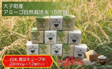 アミーゴ自然栽培米（5年目)  白米 真空キューブ米 2合(300g)×12個セット 計3.6kg 茨城県 大子町 米