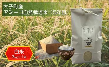 アミーゴ自然栽培米（5年目) 白米3kg 茨城県 大子町 米