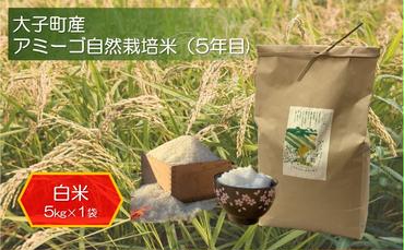 アミーゴ自然栽培米（5年目) 白米5kg 茨城県 大子町 米
