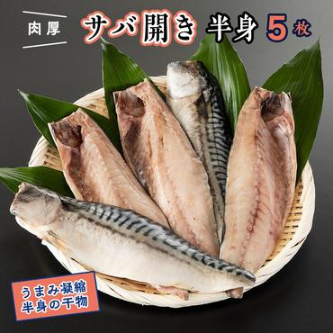 干物 サバ開き 半身 カジマ 特大 肉厚 さば 鯖 高級 焼き魚