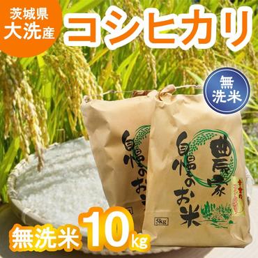 令和5年産 大洗産 コシヒカリ 無洗米 10kg (5kg×2袋） お米 茨城 こめ 米