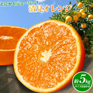 G7066_【先行予約】とにかくジューシー 清見 オレンジ 5kg