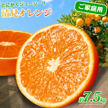 G7067_【先行予約】紀州有田産 清見 オレンジ 7.5kg【家庭用 訳あり】