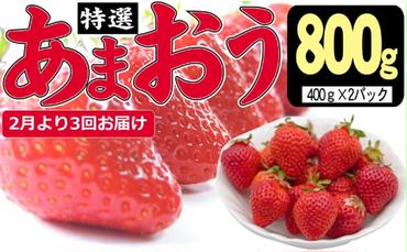 定期便 3ヶ月 いちご あまおう 800g 特選 あまおう 2025年2月より発送 イチゴ 苺 フルーツ 果物 デザート 3回 お楽しみ ※配送不可：離島