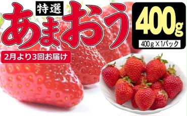 定期便 3ヶ月 いちご あまおう 400g 特選 あまおう 2025年2月より発送 イチゴ 苺 フルーツ 果物 デザート 3回 お楽しみ ※配送不可：離島