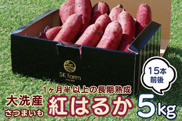 大洗産 さつまいも 紅はるか 5kg （15本前後） Sea Sweet 長期熟成 茨城県産 サツマイモ 土付き 生芋 芋 さつま芋 薩摩芋 甘藷 べにはるか