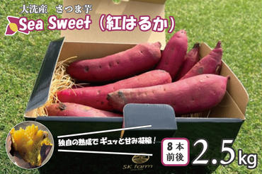 大洗産 さつまいも 紅はるか 2.5kg （8本前後） 「Sea Sweet」 長期熟成 茨城県産 サツマイモ 土付き 生芋 芋 さつま芋 薩摩芋 甘藷 べにはるか