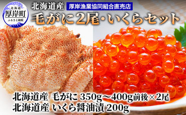 厚岸漁協イチオシ！【3D冷凍】北海道産 毛がに（約350g～400g）2尾・いくら200gセット