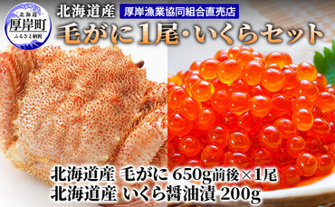 厚岸漁協イチオシ！【3D冷凍】北海道産 毛がに（約650g）1尾・いくら200gセット