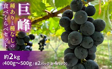 巨峰（種ありと種なし）の食べくらべセット 約2kg2024年（R6年）9月中旬～10月下旬頃出荷予定