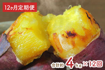 EY-31　【12ヶ月定期便】★訳あり★紅はるか冷凍焼き芋約3.7kg＋おまかせ品種さつまいも　合計約4kg