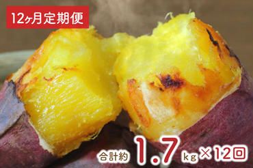 EY-34　【12ヶ月定期便】★訳あり★紅はるか冷凍焼き芋約1.5kg＋おまかせ品種さつまいも　合計約1.7kg