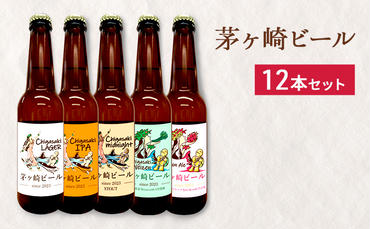 茅ヶ崎ビール アソート 12本セット　【お酒　ビール　クラフトビール　瓶入り　段ボール入り】