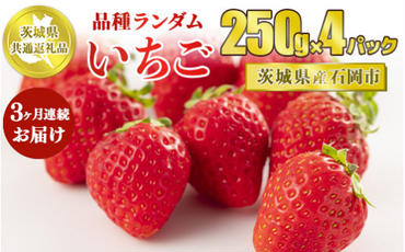 【先行予約】【茨城県共通返礼品　石岡市産】【定期便】いちごの3ヶ月連続お届けセット（250g×4パック）×3回
※2025年1月～3月下旬頃に順次発送予定