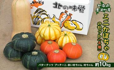 ミニかぼちゃのセット（4種） 約10kg バターナッツ プッチーニ 赤い坊ちゃん 坊ちゃん北海道 豊浦町産