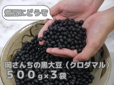 BE019_佐賀県みやき町農家岡さんちの黒大豆クロダマル500g×３袋