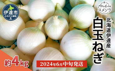 【2024年6月中旬発送】白玉ねぎ 4kg 北海道 伊達産 タマネギ 玉葱 サラダ