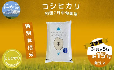 初回7月中旬発送 【令和5年産】<3ヶ月定期便>【無洗米】特別栽培米コシヒカリ5kg×3回 計 15kg