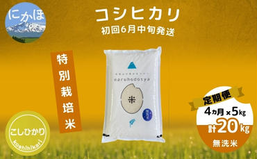 初回6月中旬発送 【令和5年産】<4ヶ月定期便>【無洗米】特別栽培米コシヒカリ5kg×4回 計 20kg