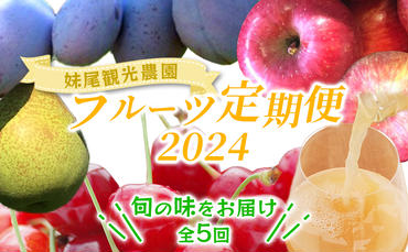 妹尾農園のフルーツ定期便2024［全5回］ 北海道 仁木 さくらんぼ プルーン 梨 りんご