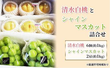 桃 ぶどう 2024年 先行予約 清水白桃（6個・約1Kｇ）と シャインマスカット （2房・約1Kg） 詰合せ セット 岡山県産 フルーツ 果物