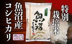 【2023年度産】魚沼産特別栽培米コシヒカリ　5kg