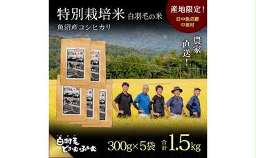 【通年受付】≪令和6年産≫　農家直送！魚沼産コシヒカリ特別栽培「白羽毛の米」精米 (300g×5袋) 1.5kg