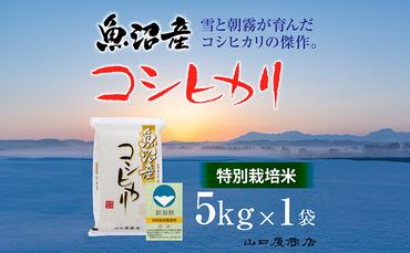 【厳選☆十日町育ち】“特別栽培米” 魚沼産コシヒカリ　5kg