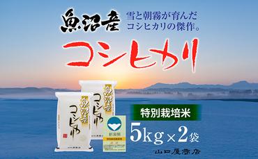 【厳選☆十日町育ち】“特別栽培米” 魚沼産コシヒカリ　5kg×2袋