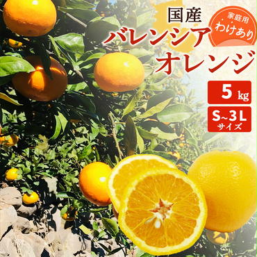 国産 バレンシアオレンジ [訳あり 家庭用] 5kg S〜3Lサイズ