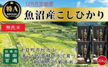 無洗米「12カ月定期便」日本棚田百選のお米　天空の里・魚沼産こしひかり　２０ｋｇ（５ｋｇ×４）×１２回