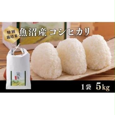 【特別栽培米】頂米　金兵衛　魚沼産コシヒカリ（精米）5kg