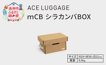 ｍCB シラカンバ BOX 12.3インチ _No.1604177