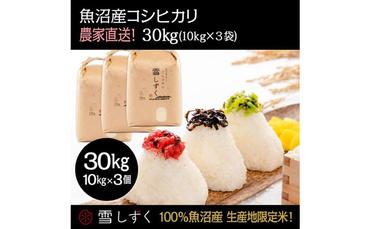 魚沼産コシヒカリ【農家直送!】 10kg×3袋