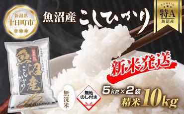 【令和6年産 新米予約】 無地熨斗 無洗米 魚沼産 コシヒカリ 5kg × 2袋 計10kg 新米 農家のこだわり 新潟県 十日町市 お米 こめ 白米 コメ 食品 人気 おすすめ 送料無料