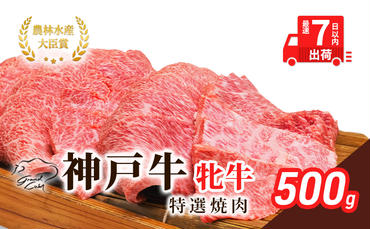 【最短7日以内発送】 神戸ビーフ 神戸牛 牝 特選焼肉 500g 川岸畜産 冷凍 肉 牛肉 すぐ届く