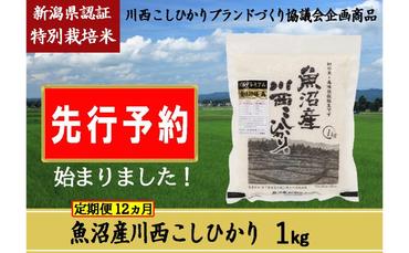 【先行予約】【定期便／12ヶ月】魚沼産川西こしひかり1kg 新潟県認証特別栽培米 令和6年度米＜令和6年10月上旬～発送予定＞