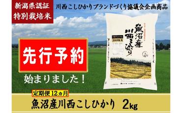 【先行予約】【定期便／12ヶ月】魚沼産川西こしひかり2kg 新潟県認証特別栽培米 令和6年度米＜令和6年10月上旬～発送予定＞