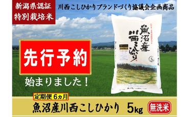 【先行予約】【定期便／6ヶ月】無洗米 魚沼産川西こしひかり5kg 新潟県認証特別栽培米 令和6年度米＜令和6年10月上旬～発送予定＞