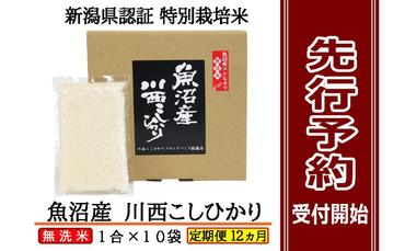 【先行予約】【定期便／全12回】無洗米 魚沼産コシヒカリ1合×10袋 新潟県認証特別栽培米 令和6年度米＜令和6年10月上旬～発送予定＞