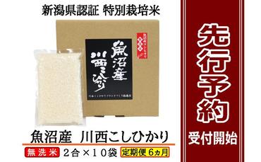 【先行予約】【定期便／全6回】無洗米 魚沼産コシヒカリ2合×10袋 新潟県認証特別栽培米 令和6年度米＜令和6年10月上旬～発送予定＞