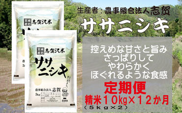 【12ヶ月定期便】宮城県岩沼市産 志賀沢米 ササニシキ 精米10kg(5kg×2）